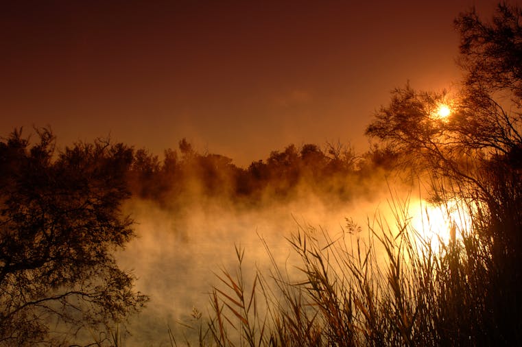 Dalhousie Springs, Witjira National Park
