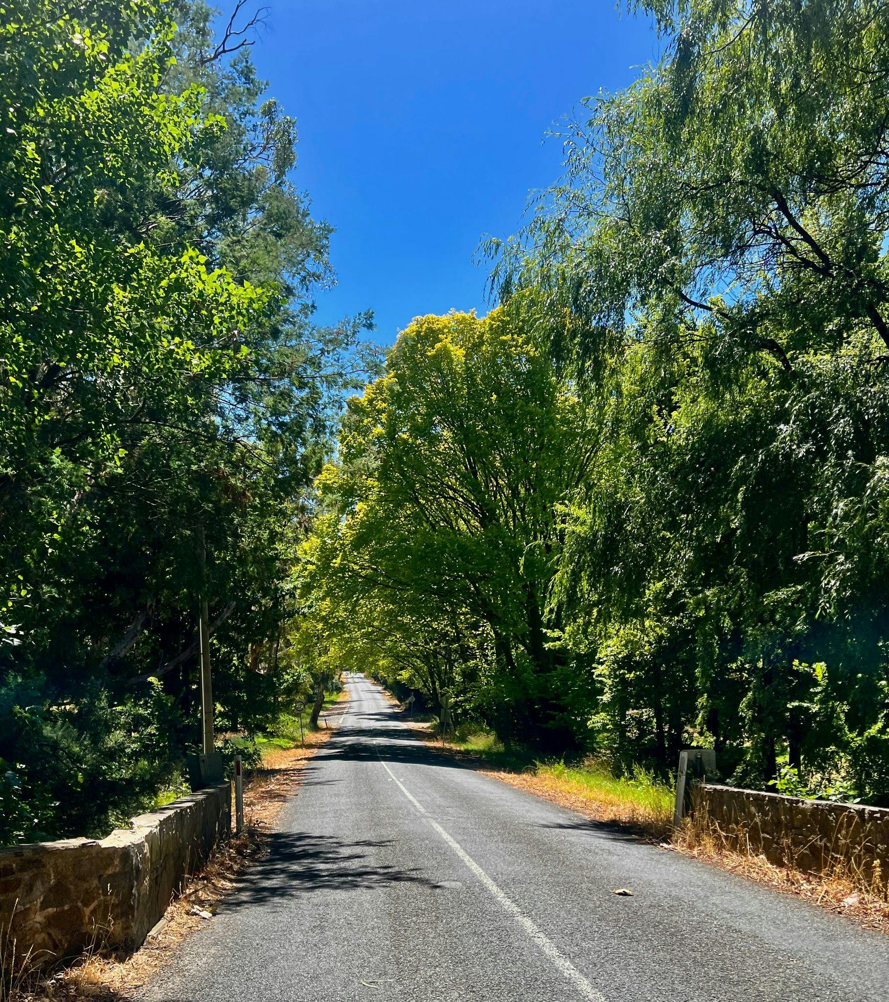 Adelaide Road Bike Guided Ride By A Local - Full Day