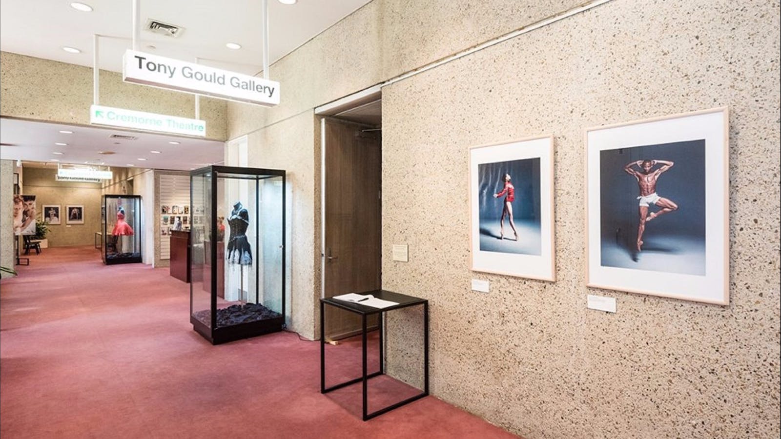 Tony Gould Gallery QPAC