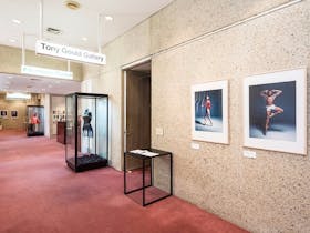 Tony Gould Gallery QPAC