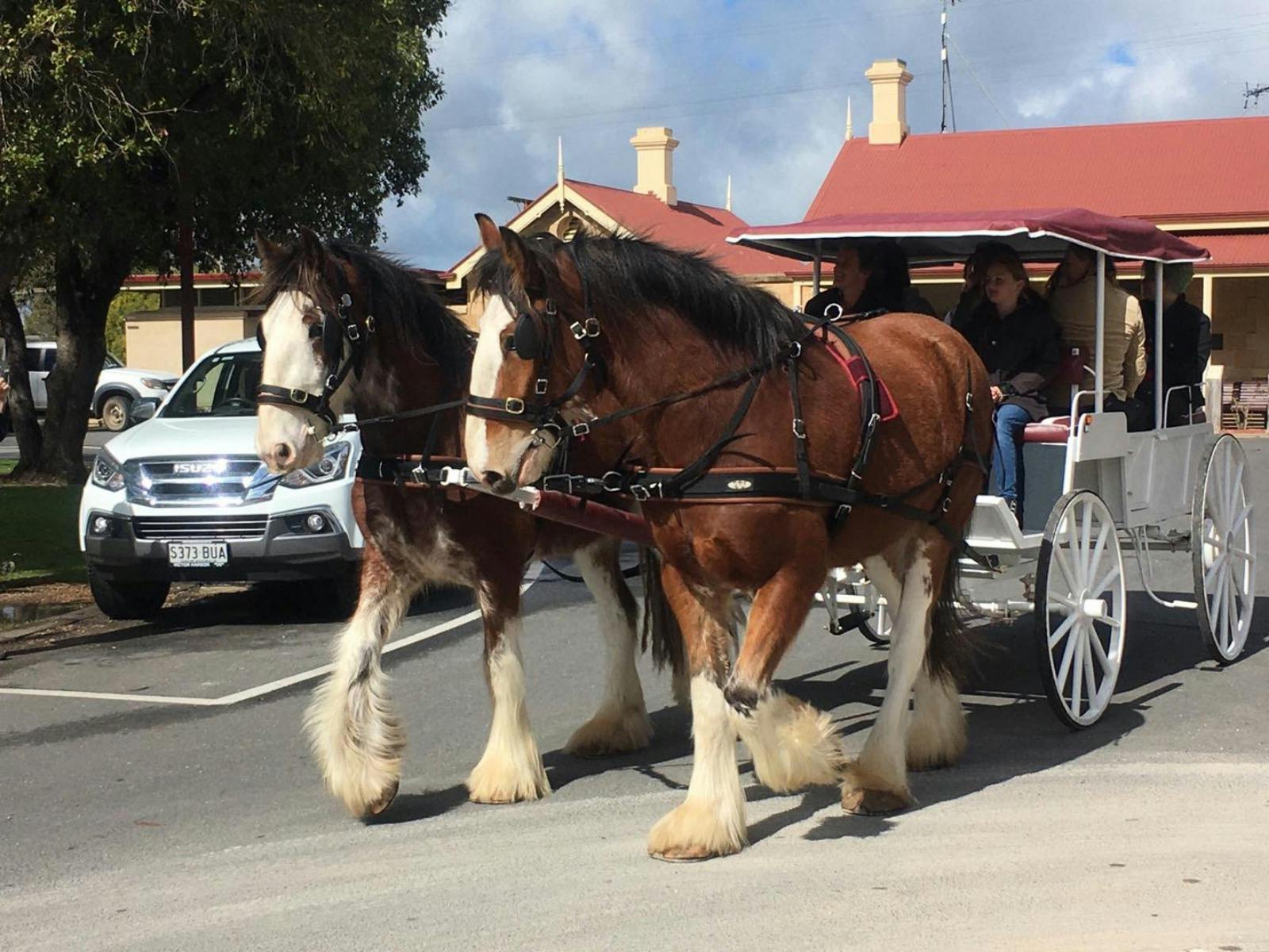 horse drawn bear hunt