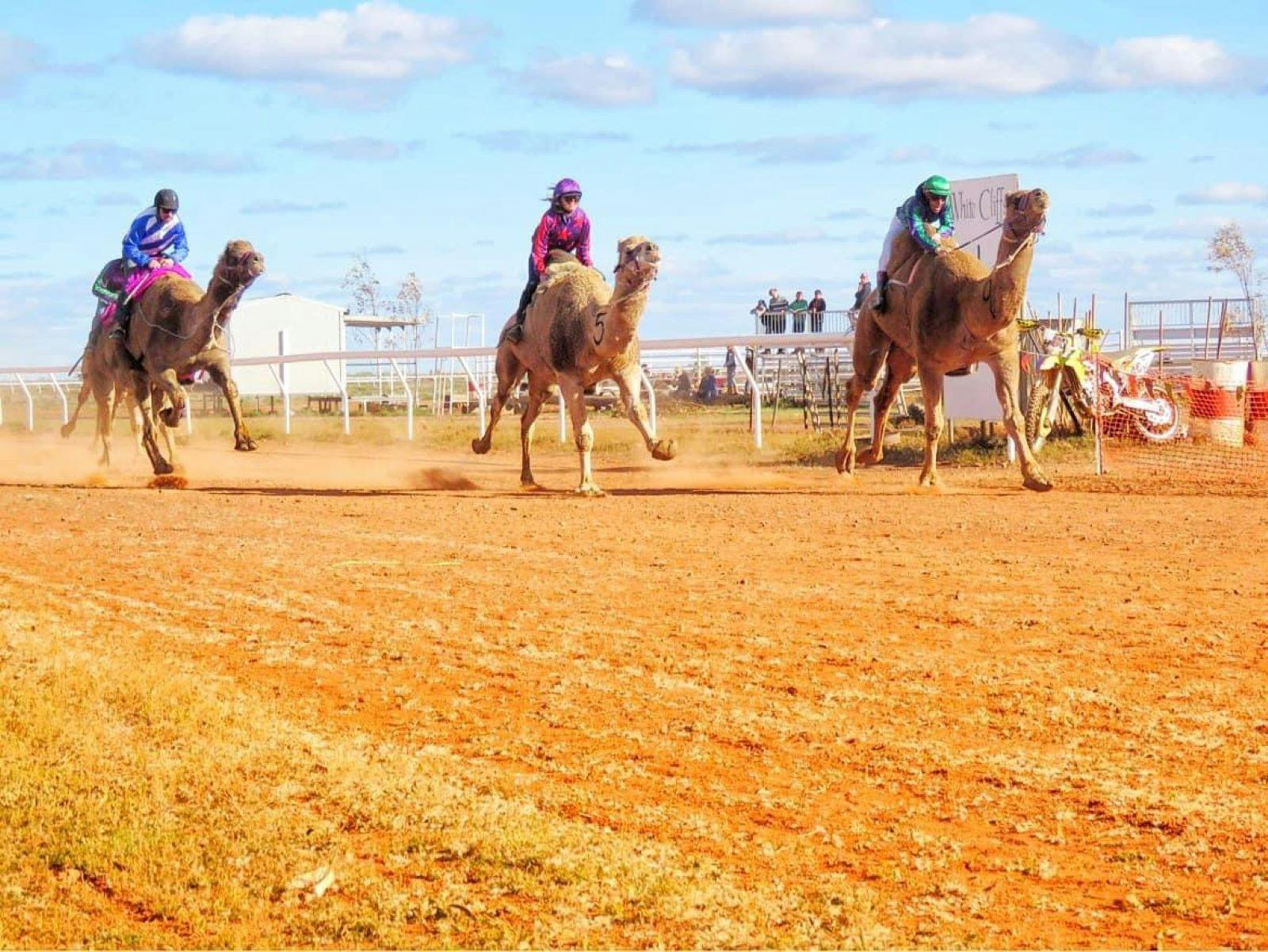 White Cliffs Camel Cup and Bikekhana
