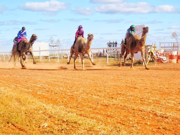 White Cliffs Camel Cup and Bikekhana