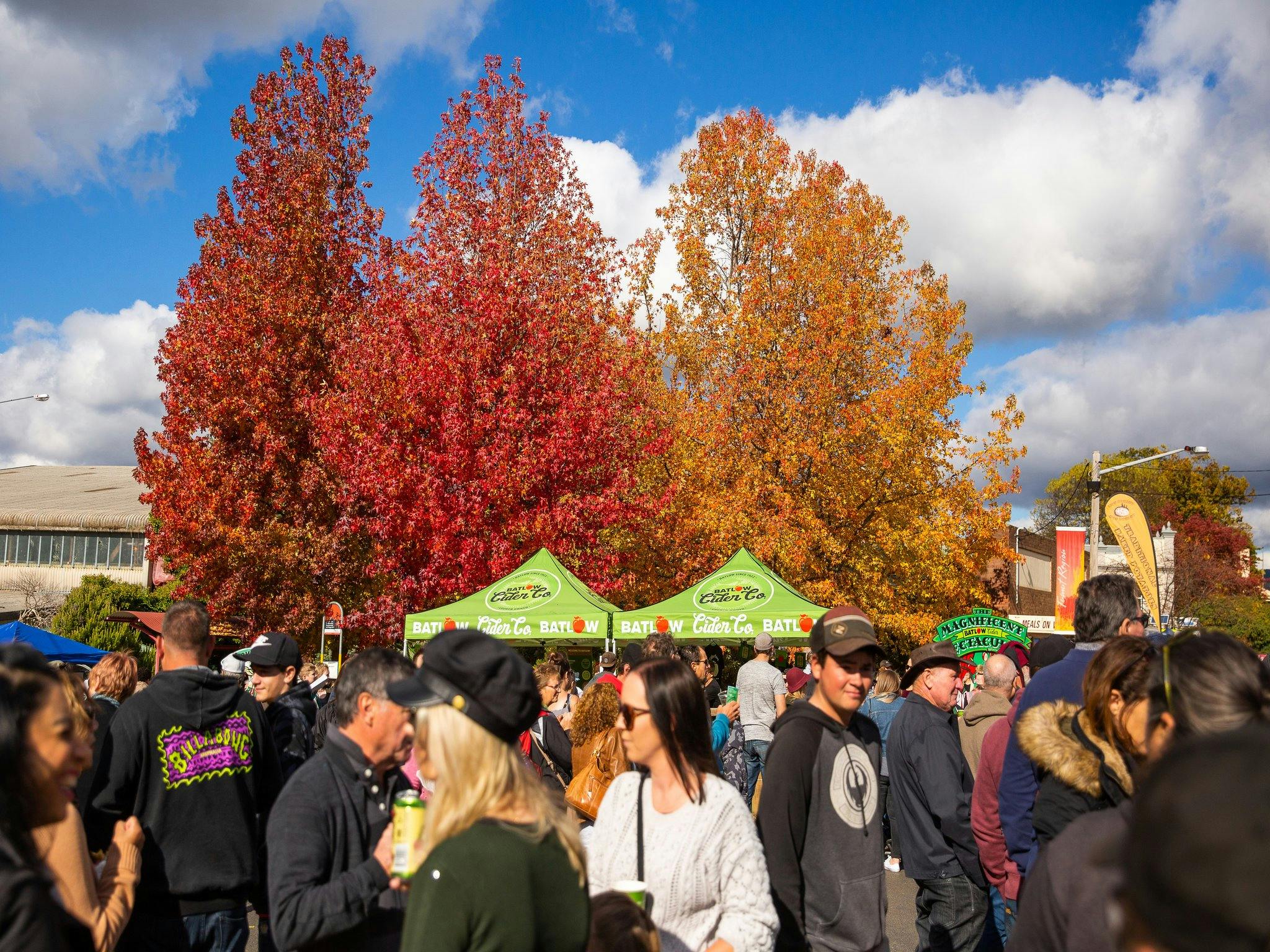 Batlow CiderFest | Visit Wagga