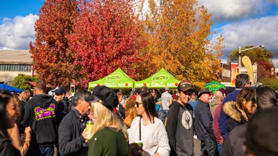 CiderFest Streetscape