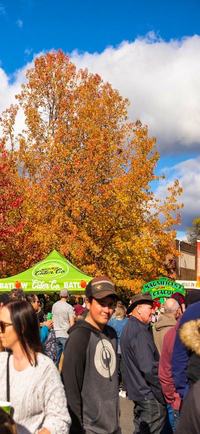 CiderFest Streetscape