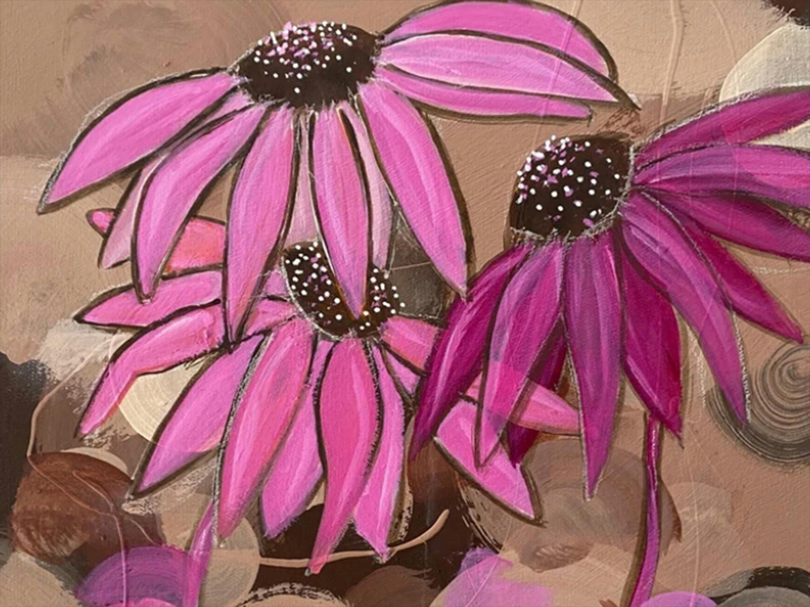 Pink Echinacea Flowers