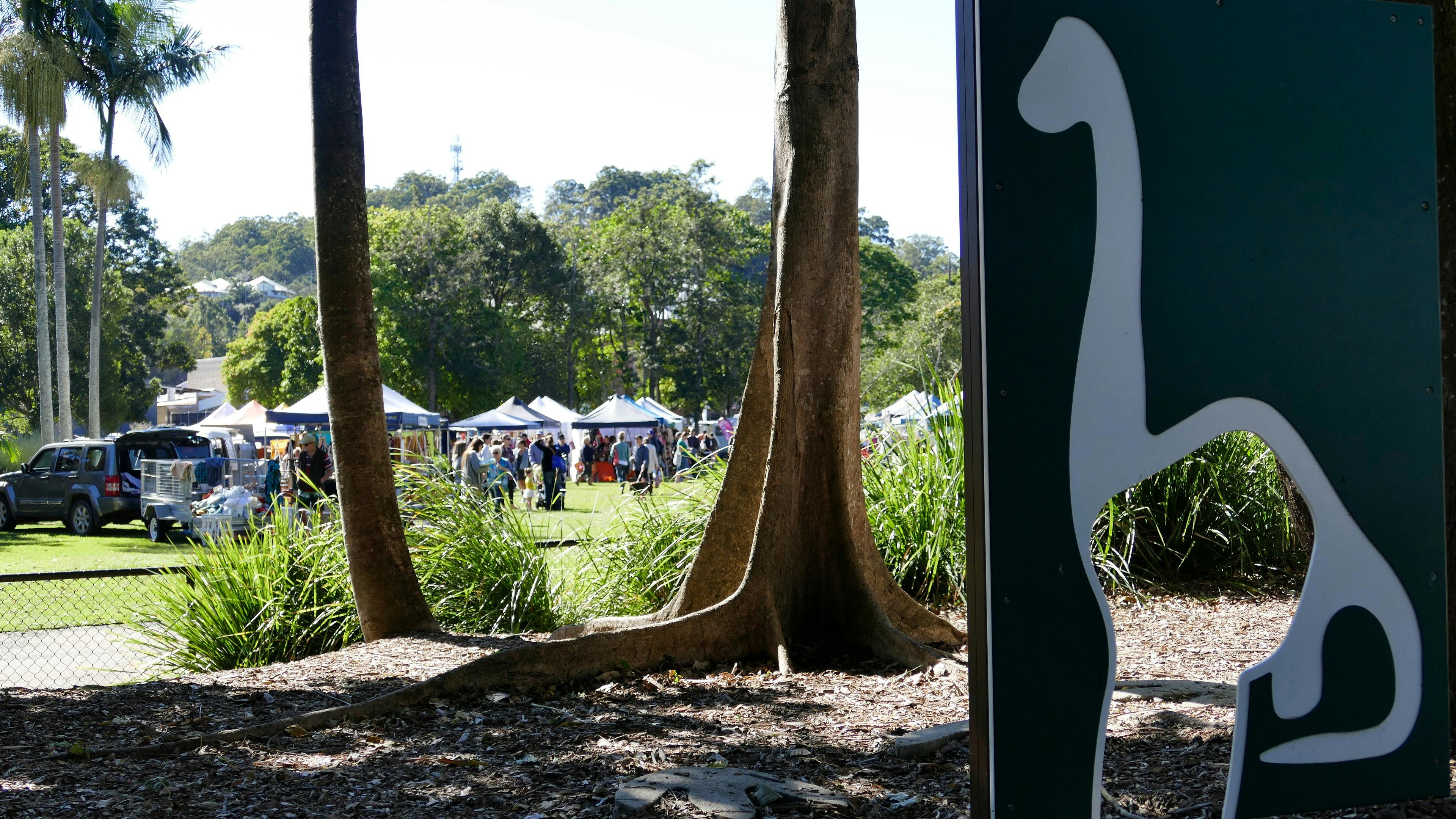 Knox Park Playground