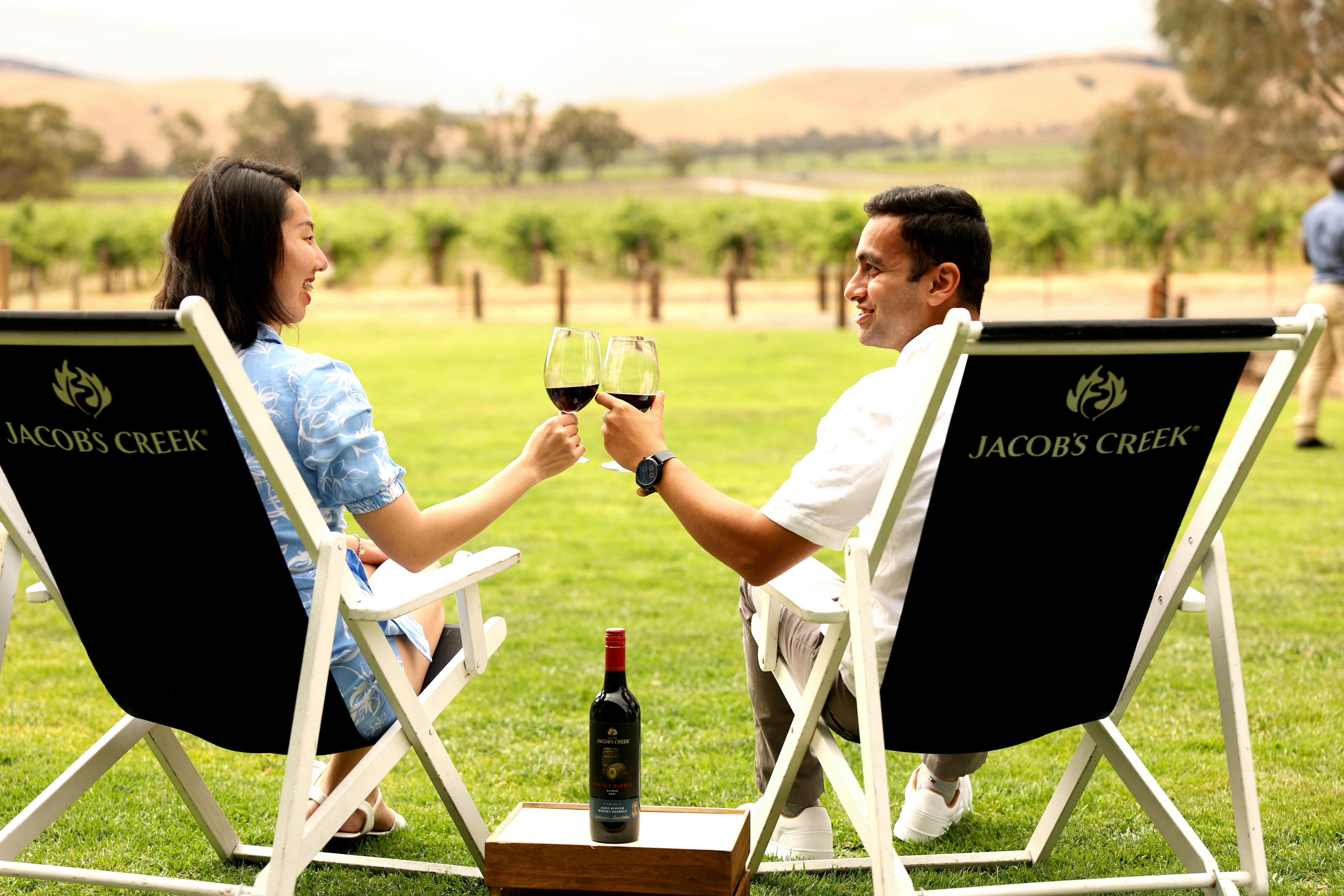 Couple clinking their glasses at a picnic