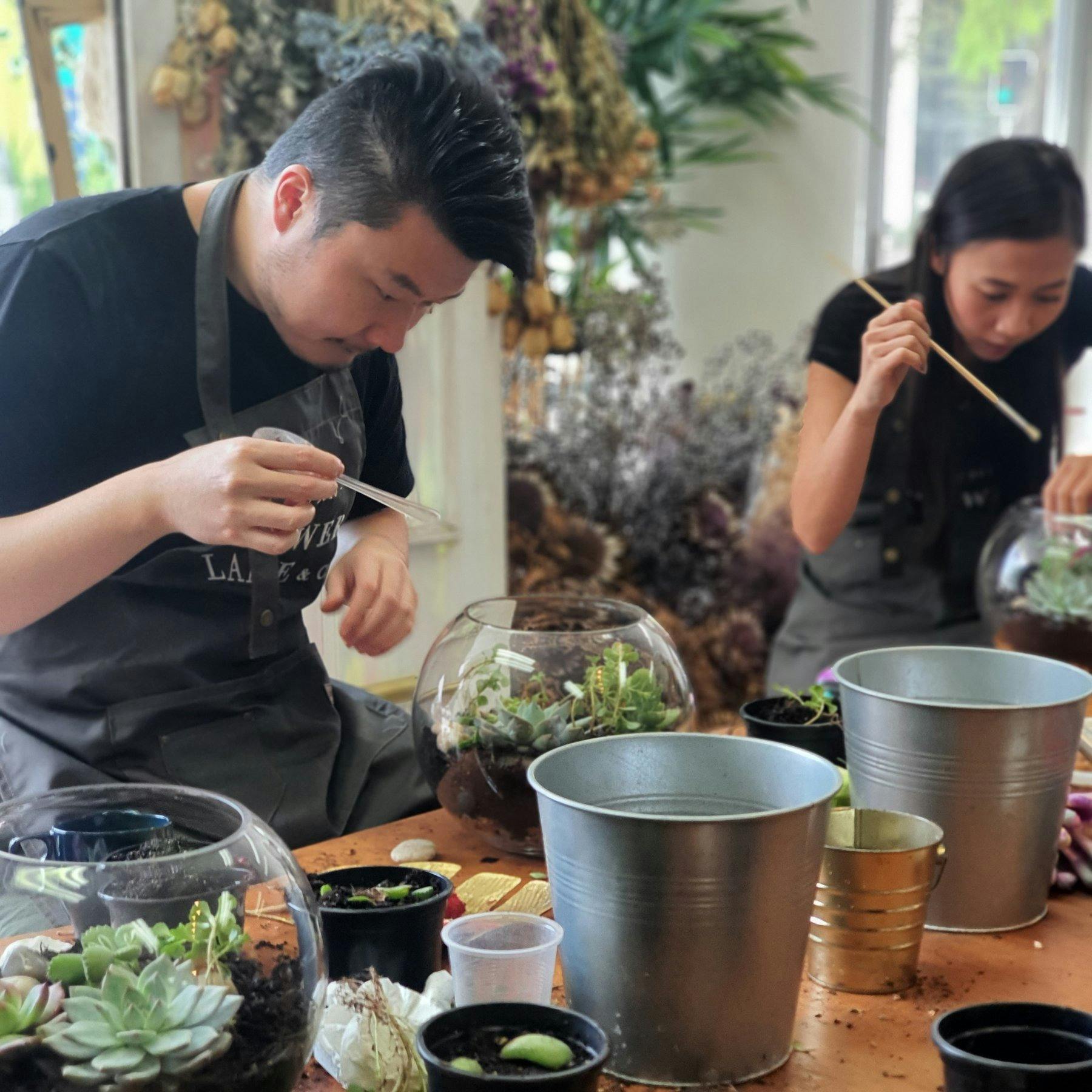 succulent, terrarium, fun, workshop