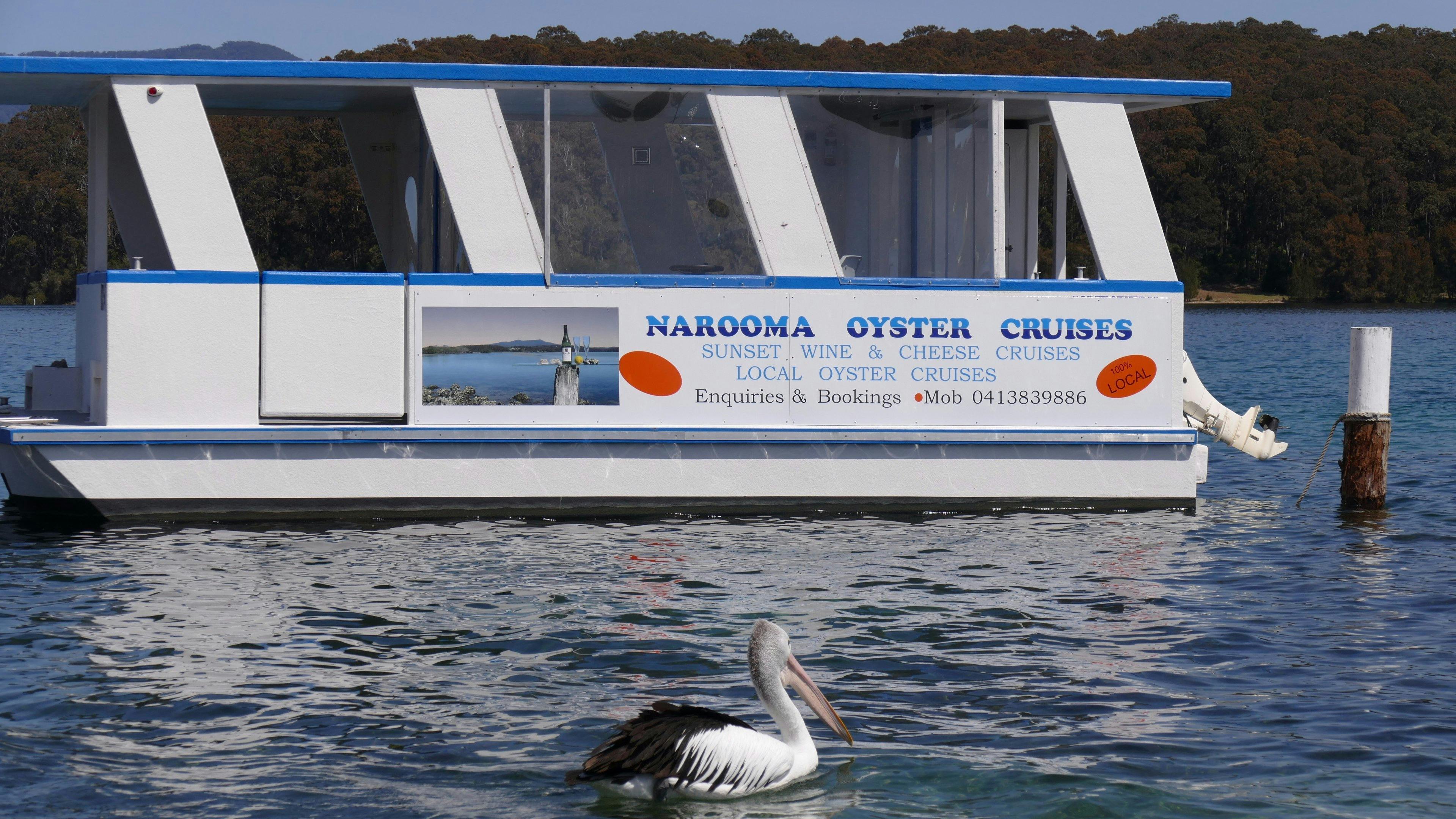 Narooma Oyster Tours