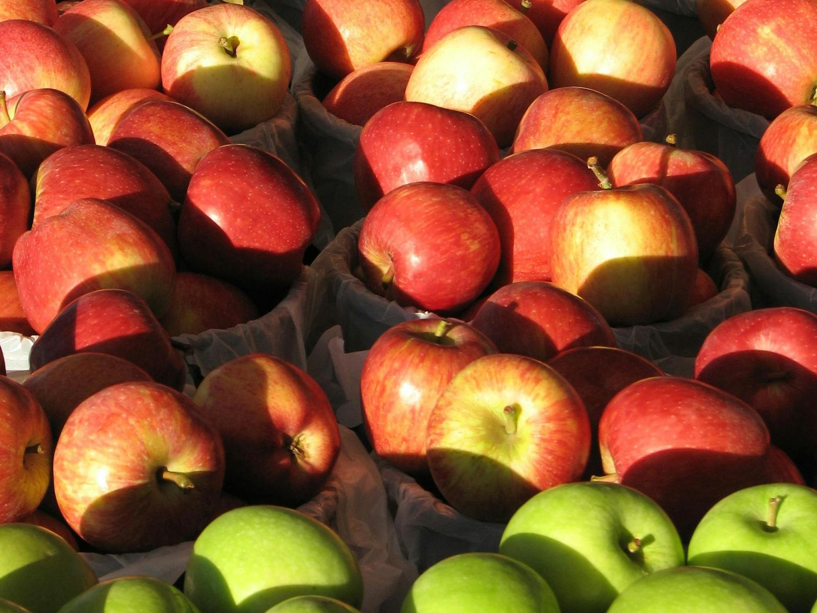 Image for Dubbo Farmers Market