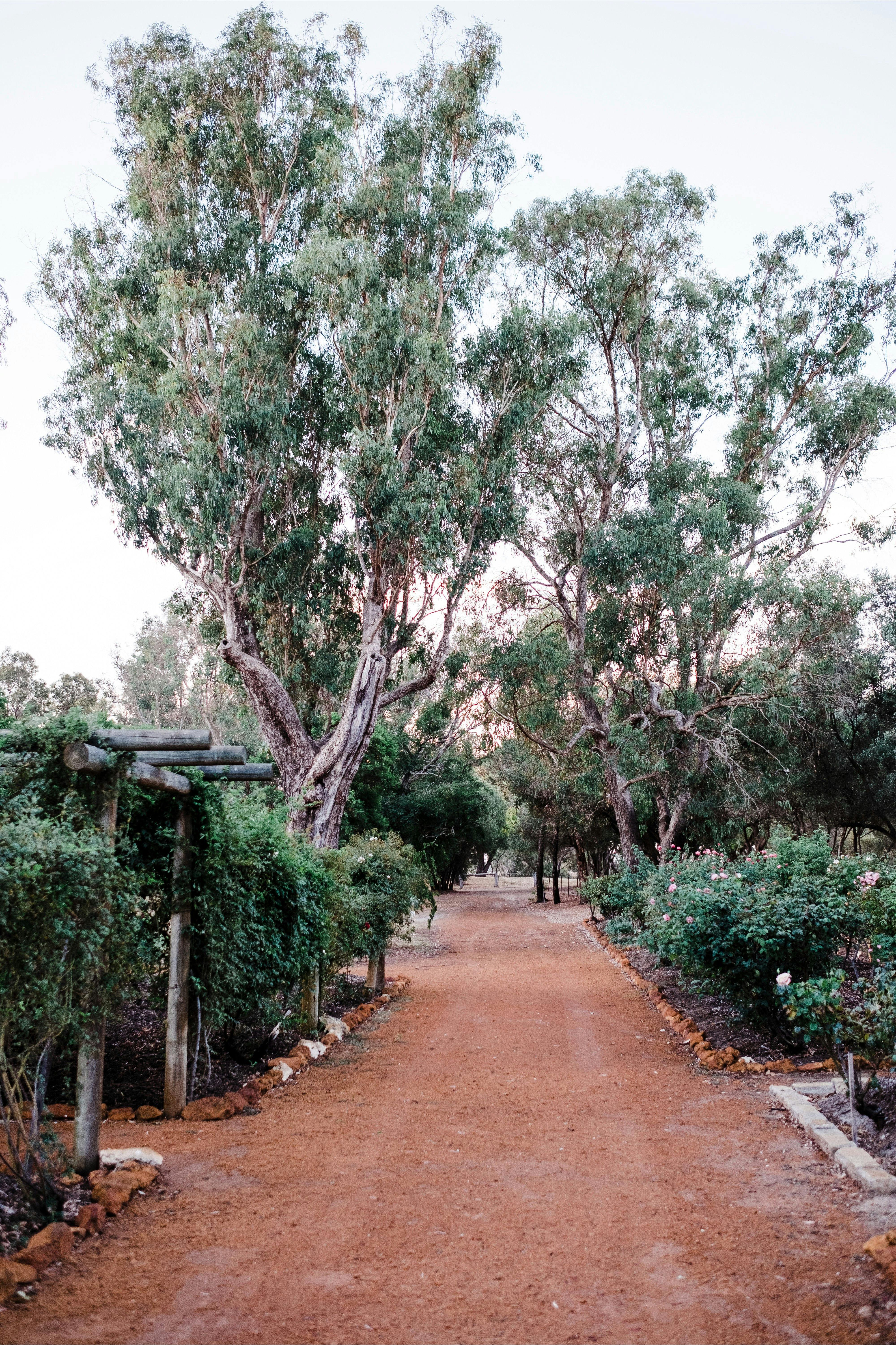 Heritage Rose Garden pathway