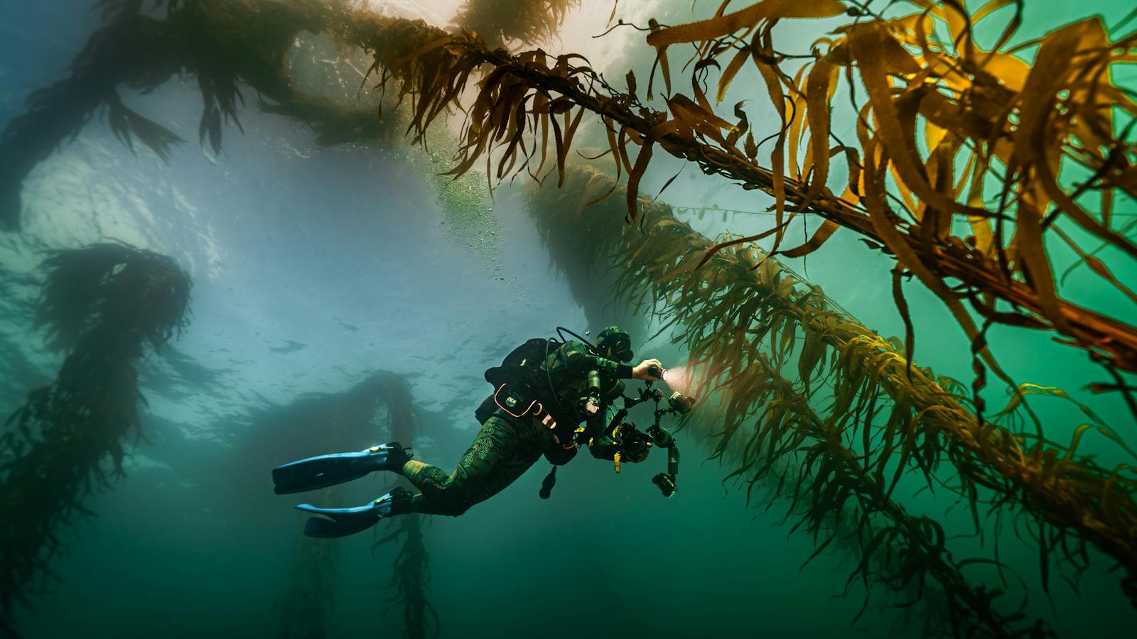 Island of Ideas | Reef Futures edit