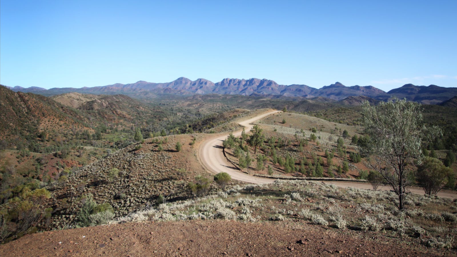 Ikara-Flinders Ranges National Park