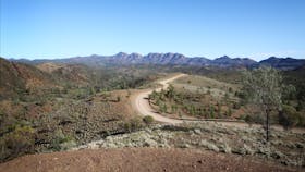 Ikara-Flinders Ranges National Park