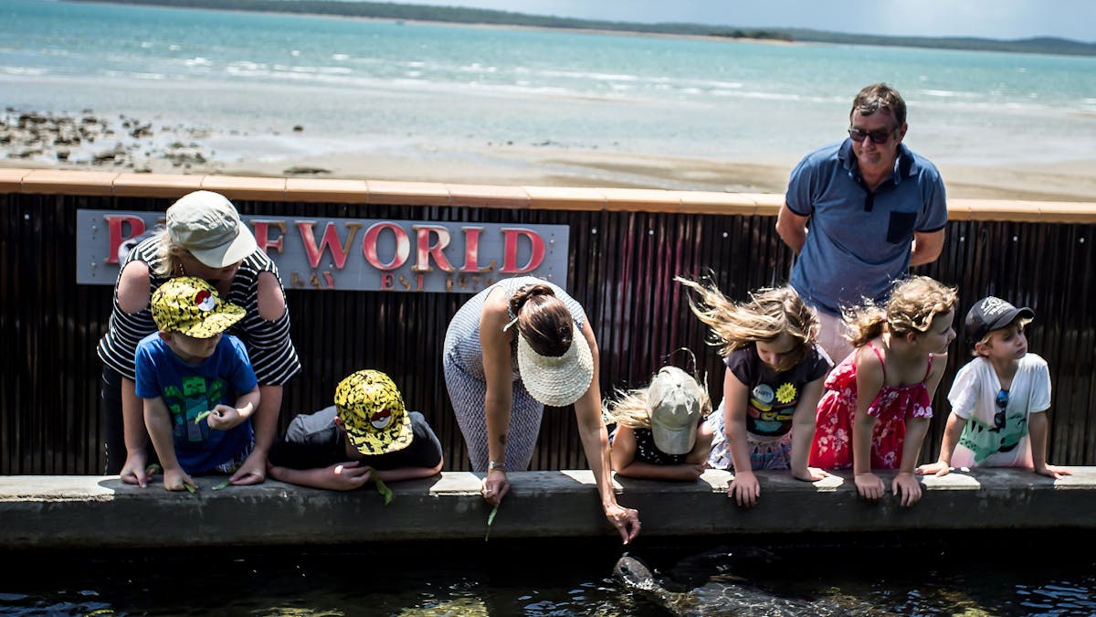 photo showing people feeding a turtle at  Reefworld Aquarium
