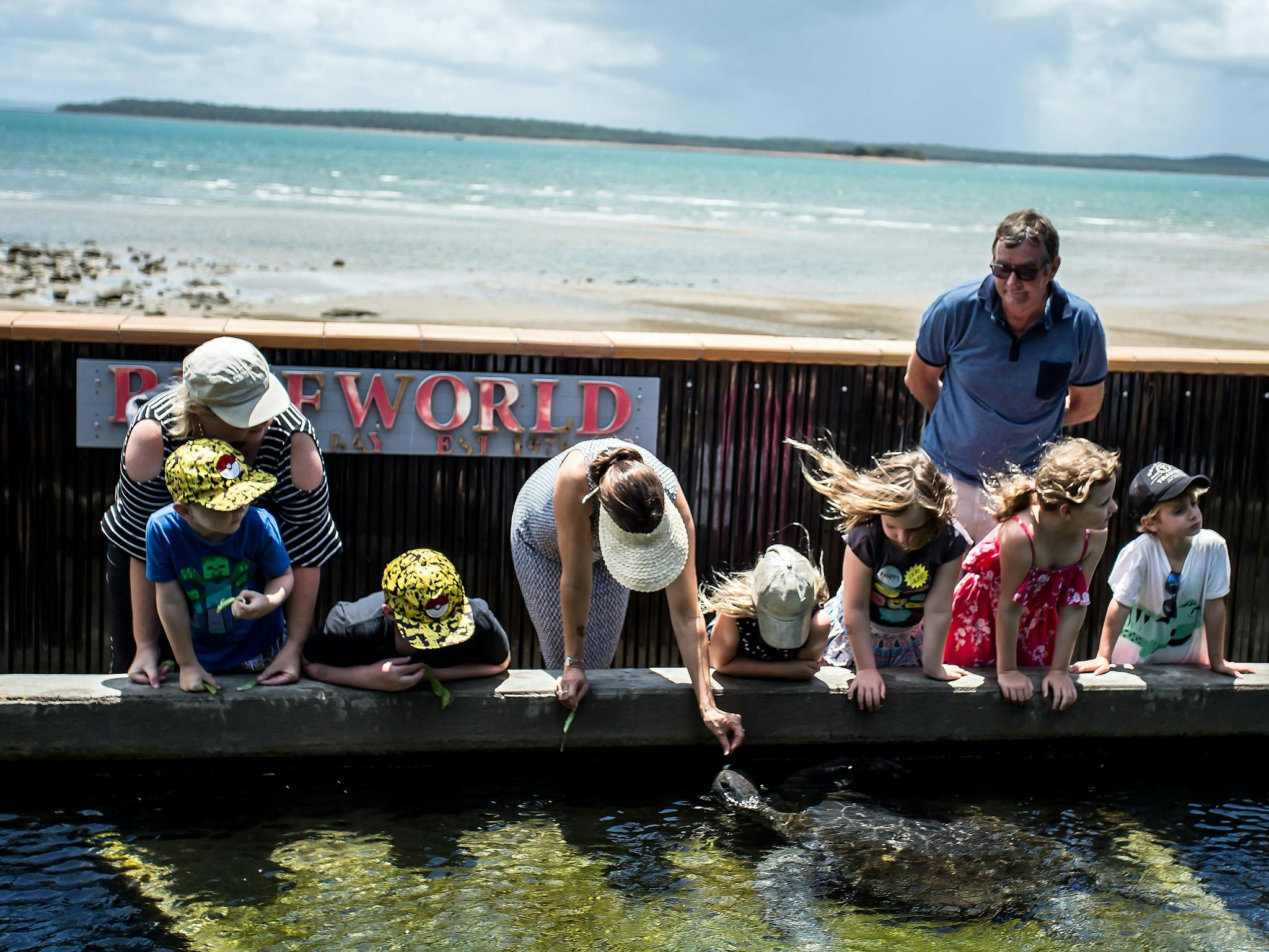 photo showing people feeding a turtle at Reefworld Aquarium