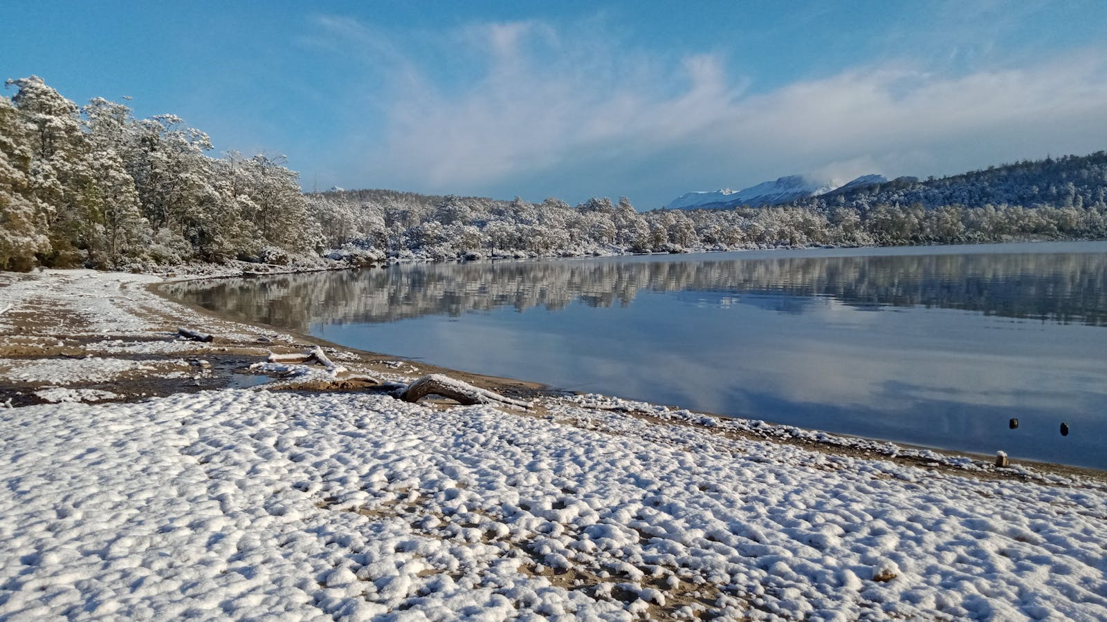 Cynthia Bay - Lake St Clair National Park