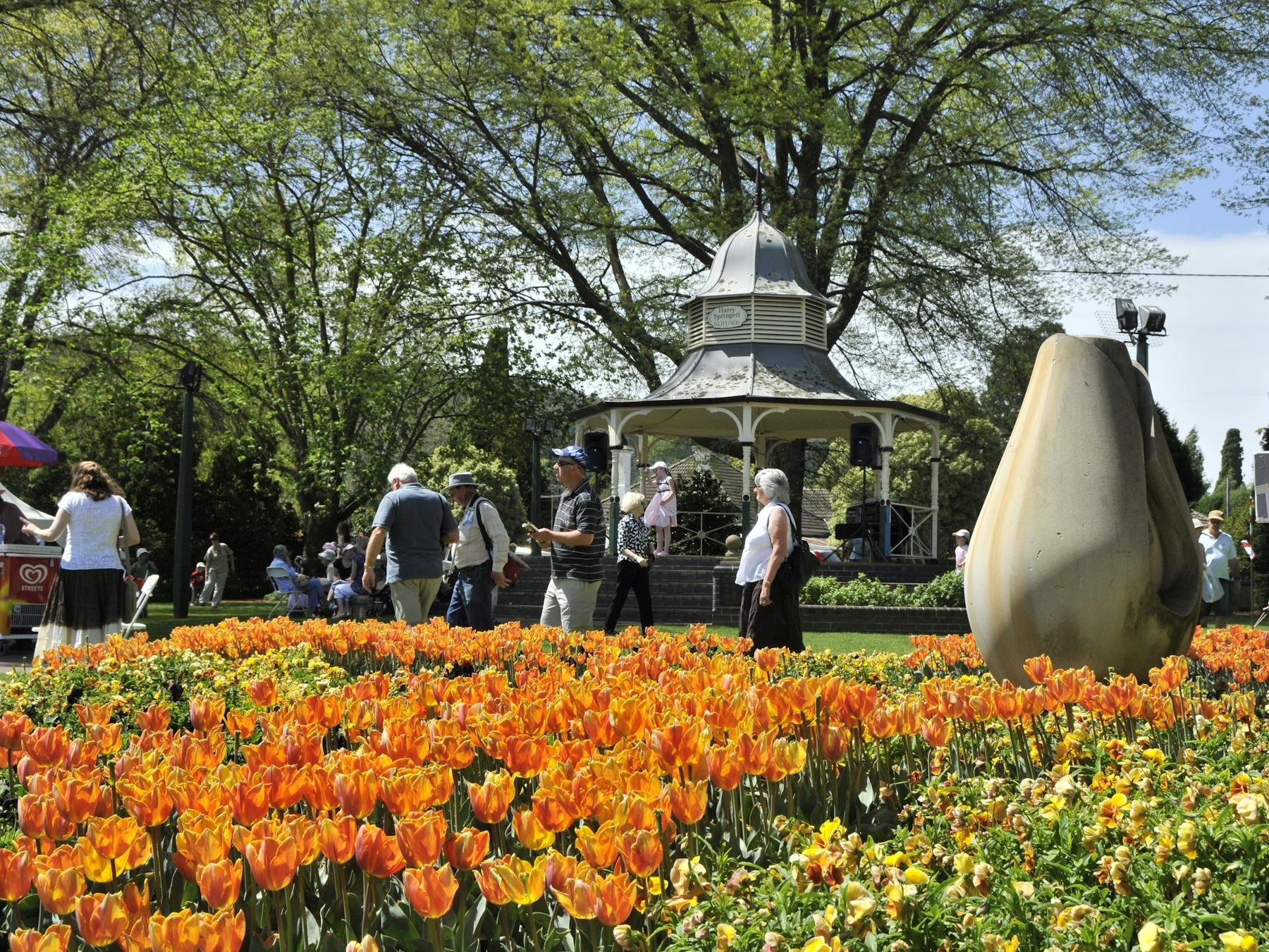 Tulip Time