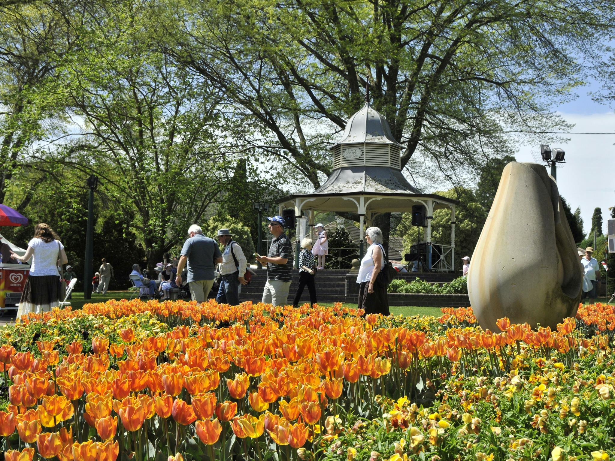 Tulip Time