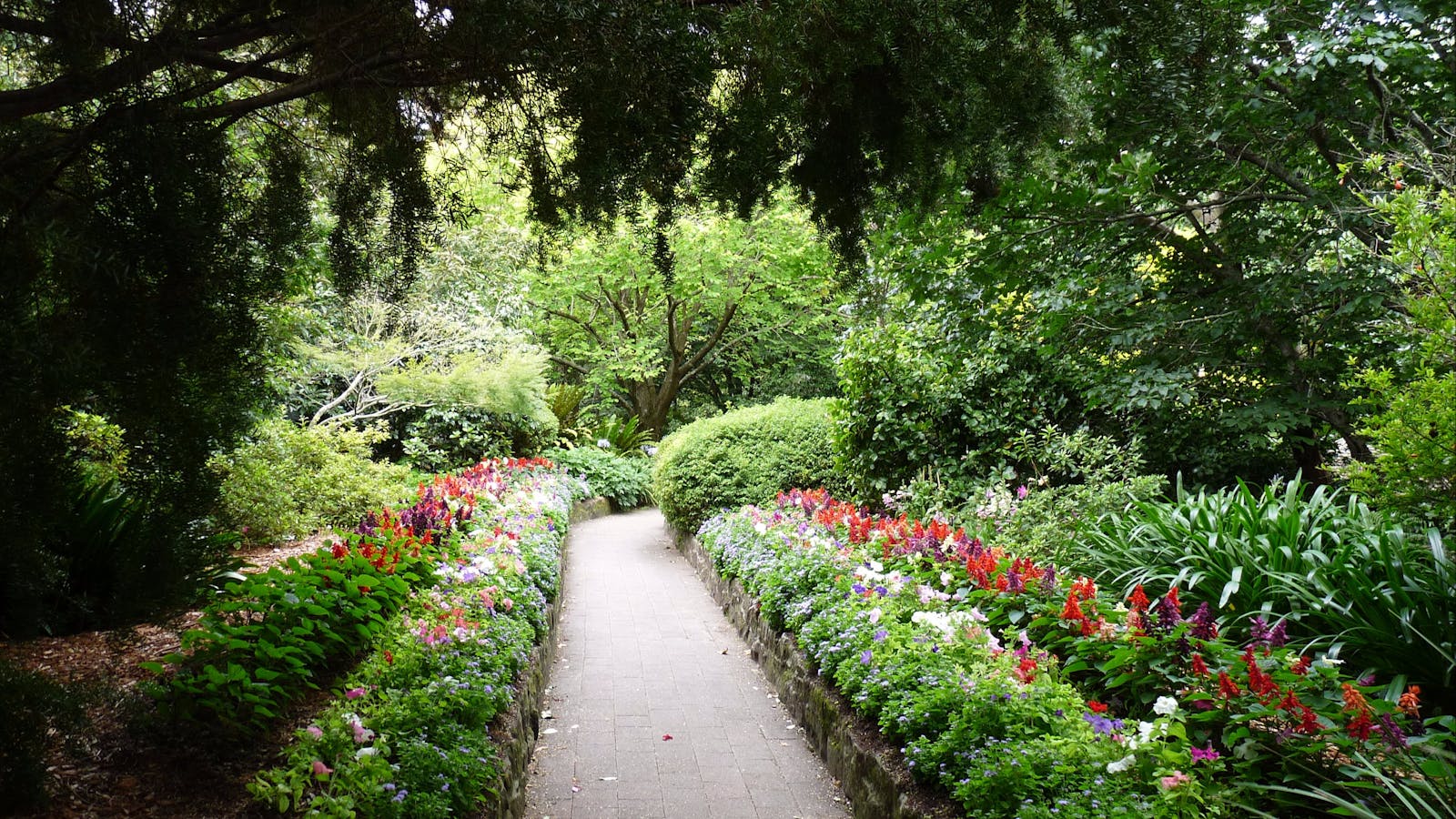 EG Waterhouse National Camellia Gardens