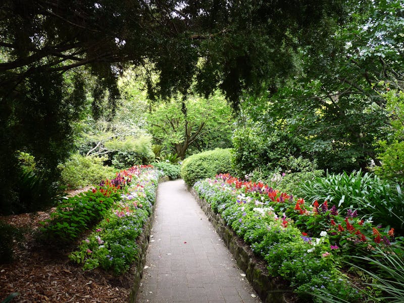 EG Waterhouse National Camellia Gardens Sydney, Australia Official Travel & EG Waterhouse National Camellia Gardens Sydney, Australia Official Travel &