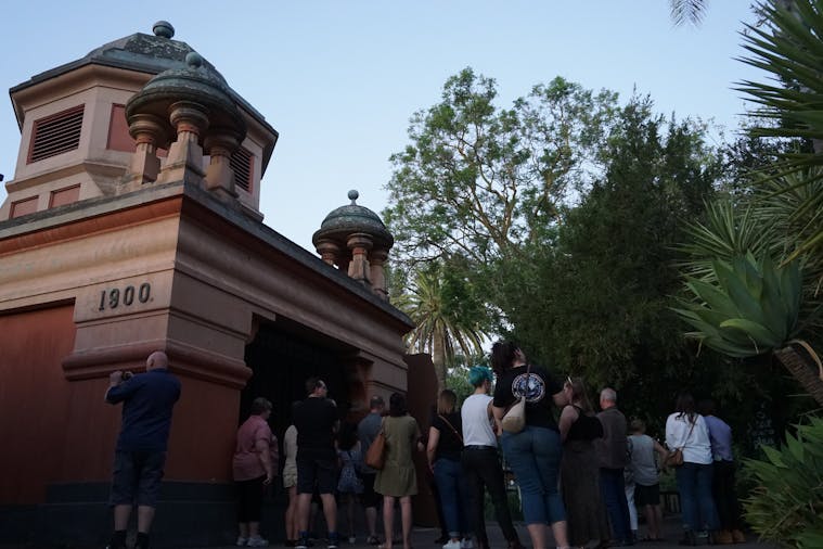Adelaide Zoo After Dark Tour