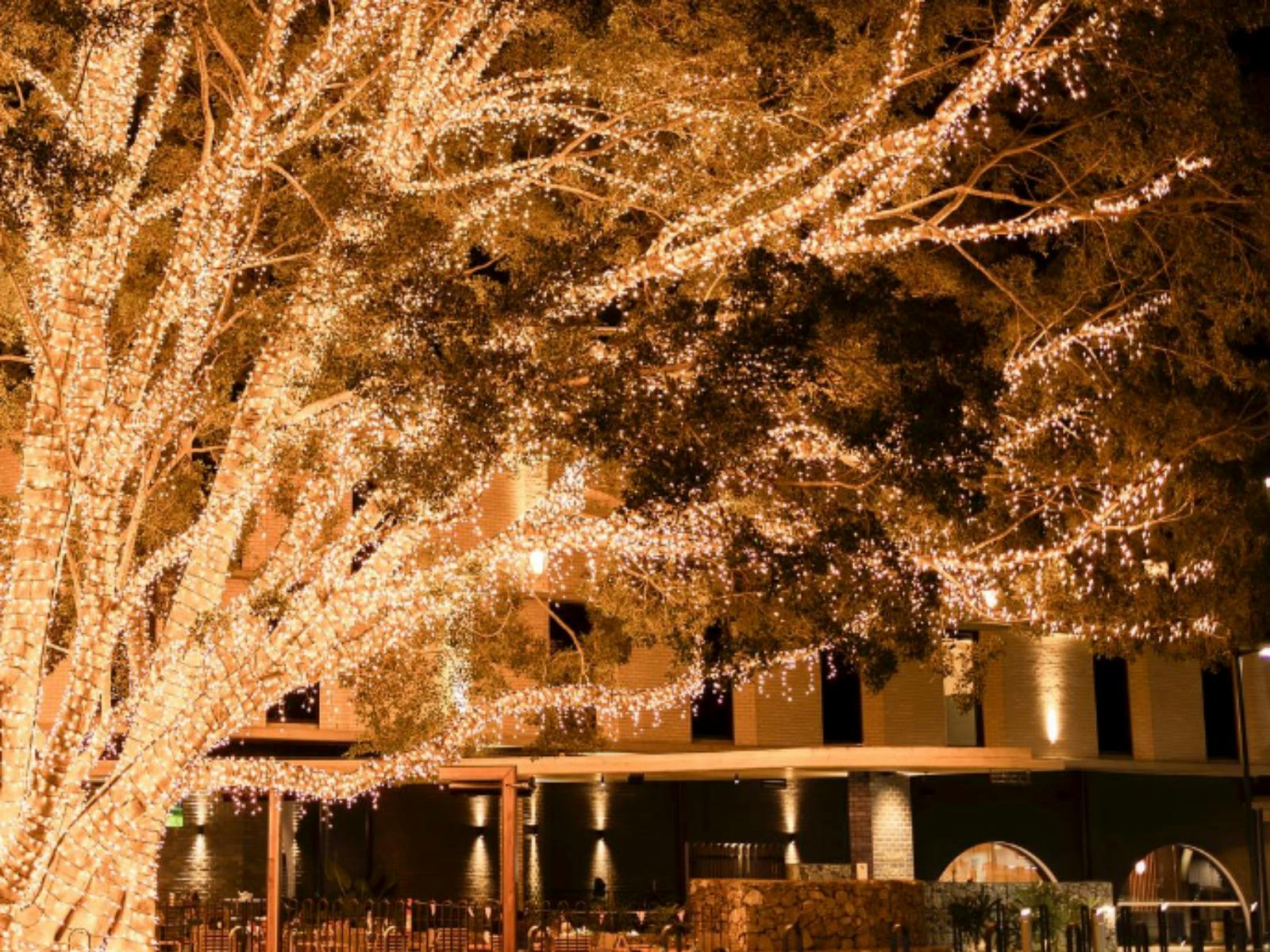 Cityhope Church Tree Lighting