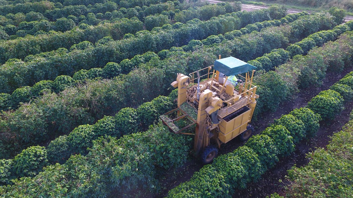 Jaques Coffee Harvester