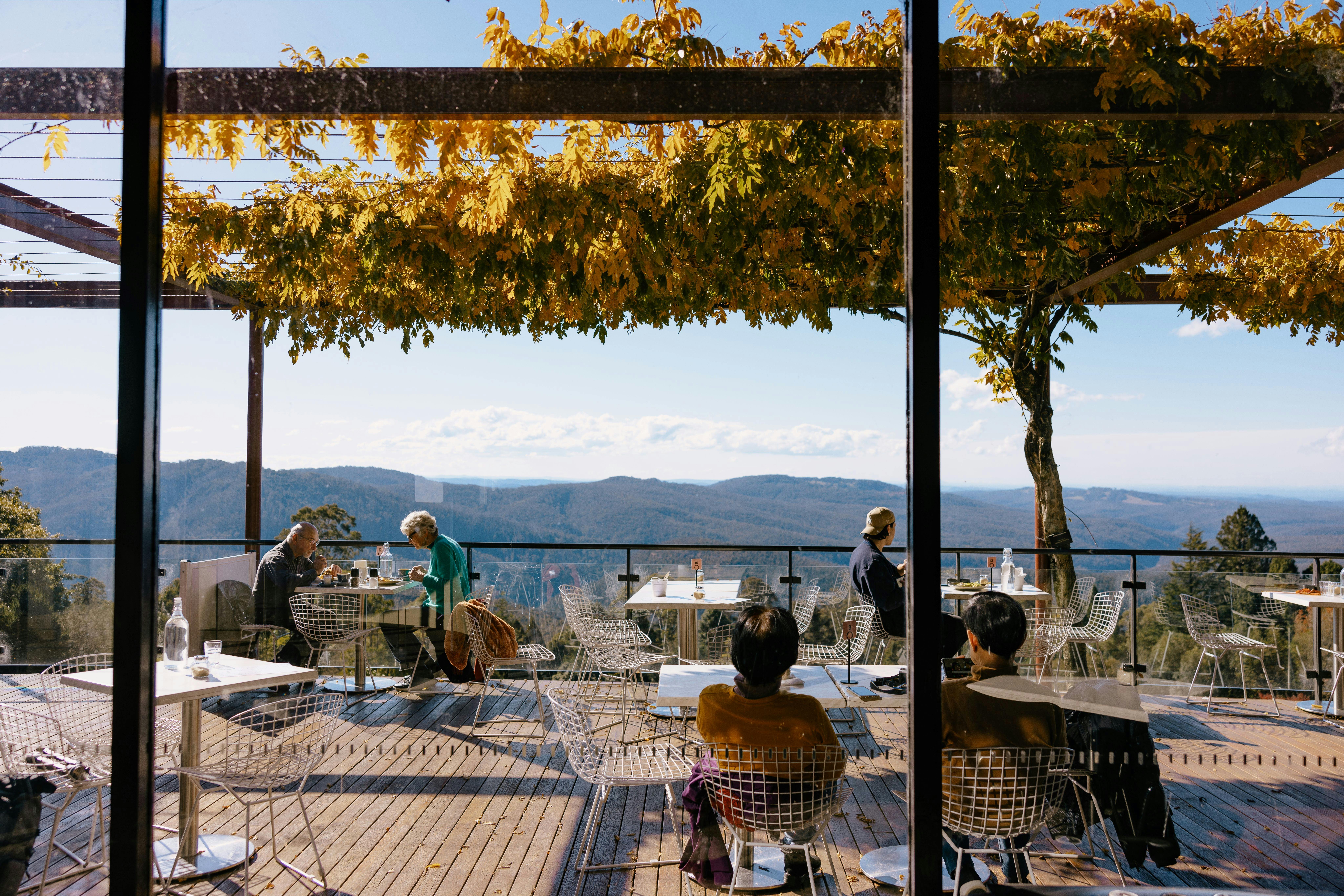 Magnificent views from the cafe