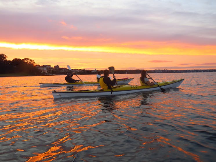 Sydney Harbour Kayaks - Sunrise Tour