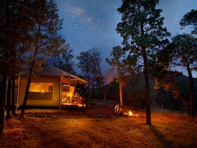 Ikara Safari Camp