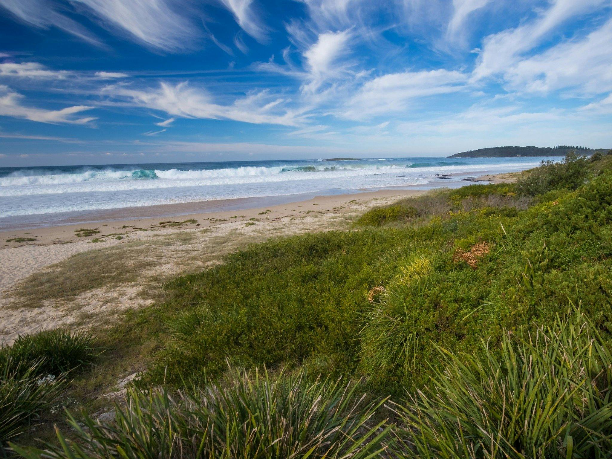 A long beach, bordered by low vegetation