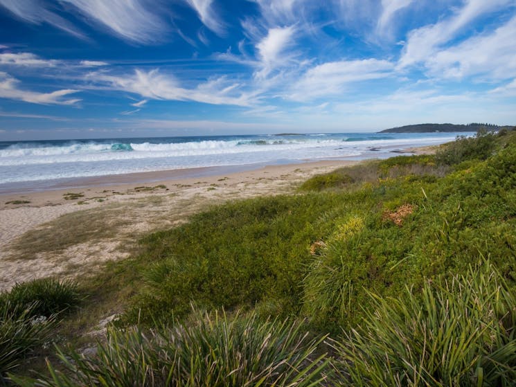 A long beach, bordered by low vegetation