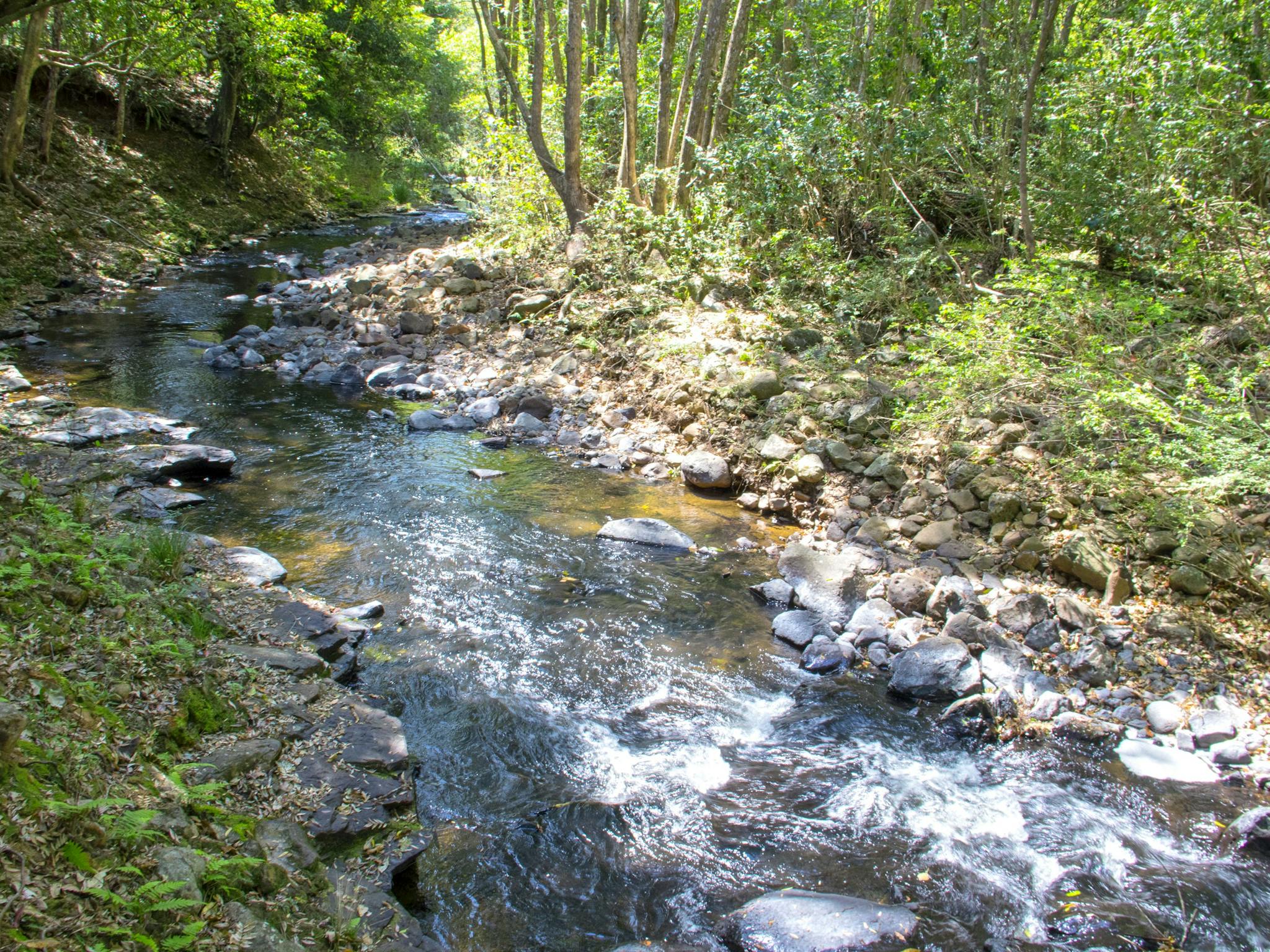 Tallaringa Views Byron Bay Hinterland Cabins are set amongst rainforest with pristine creeks.