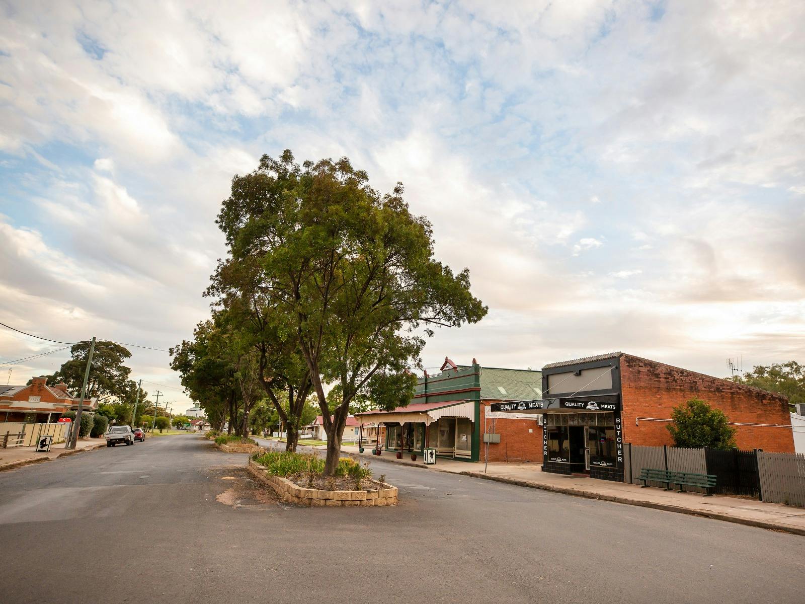 Eugowra Township