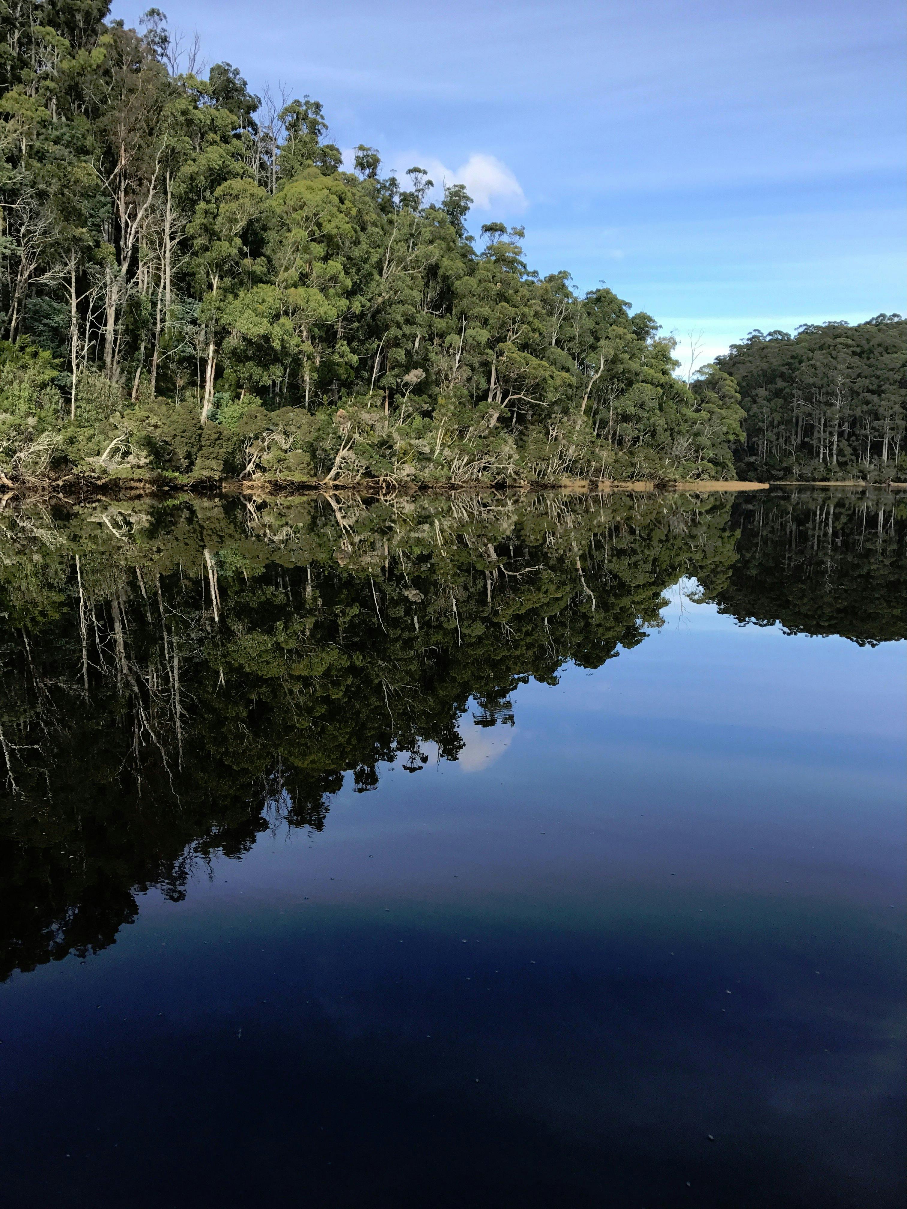amazing day on the river