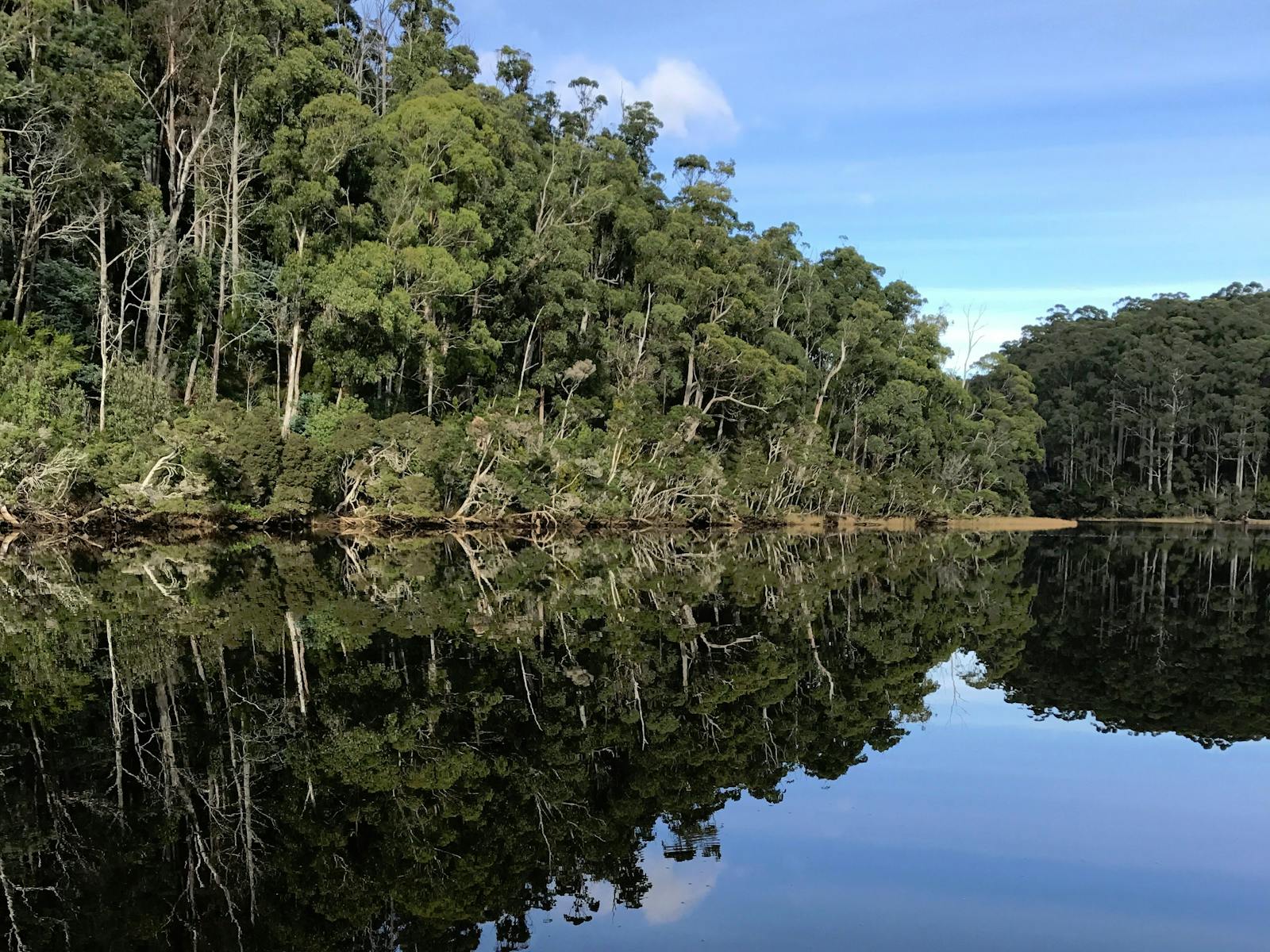 beautiful reflections