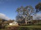 Oaktree Gallery have a permanent photographic exhibition of the High Country