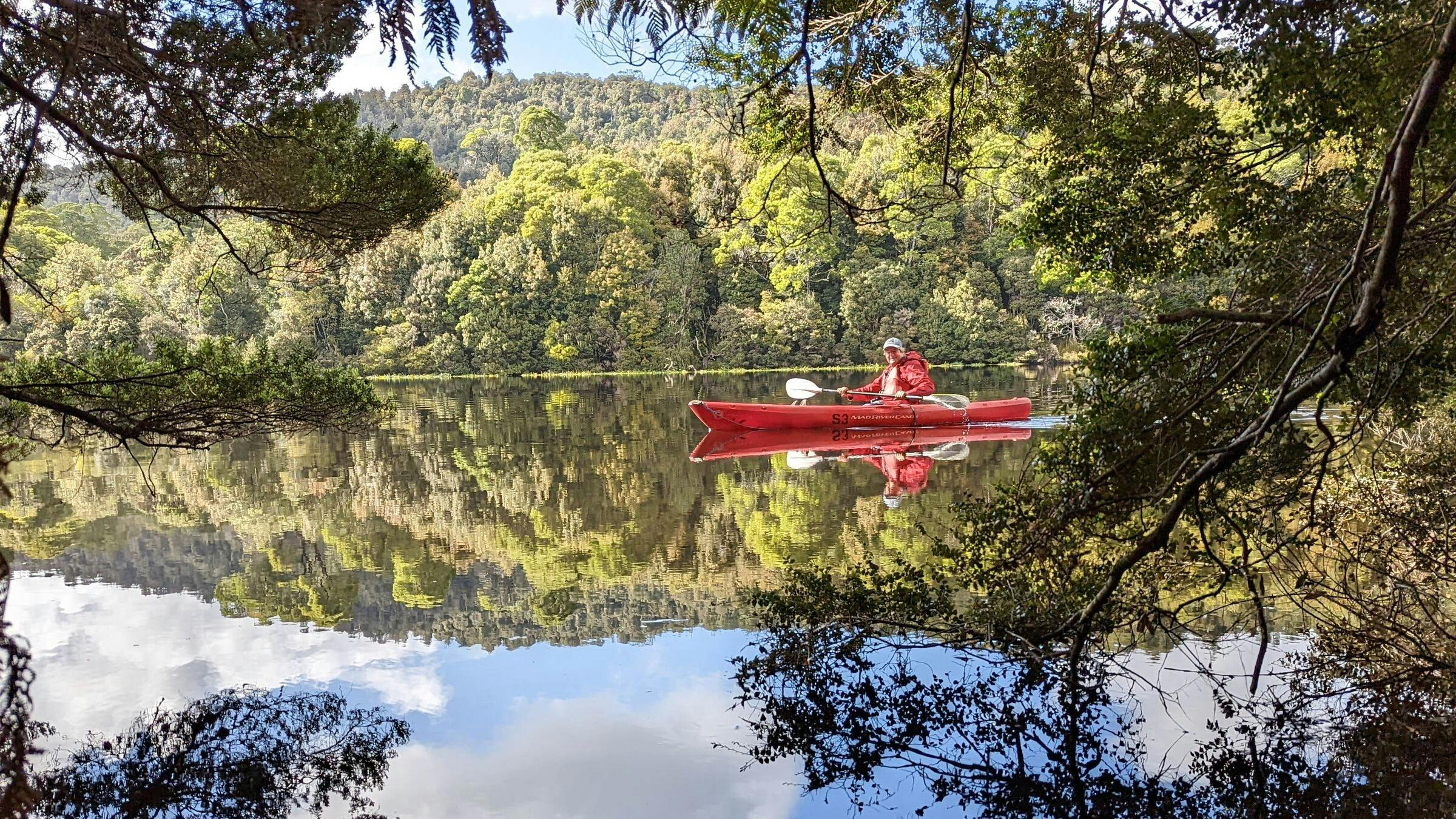 Walk Tasmania's Tarkine & Cradle Mountain