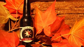 Dark Ale Picture