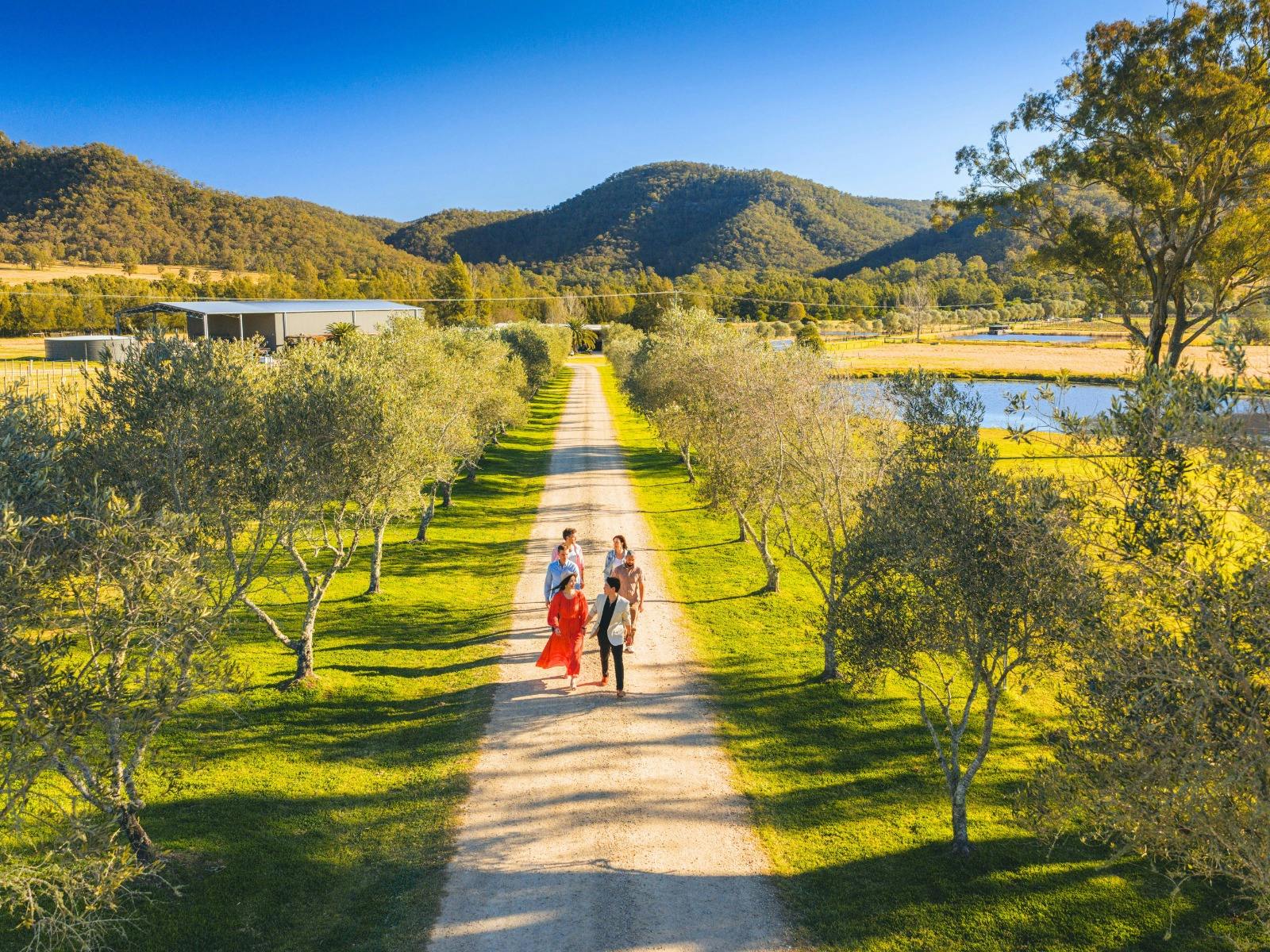 A Little Bit of Broke