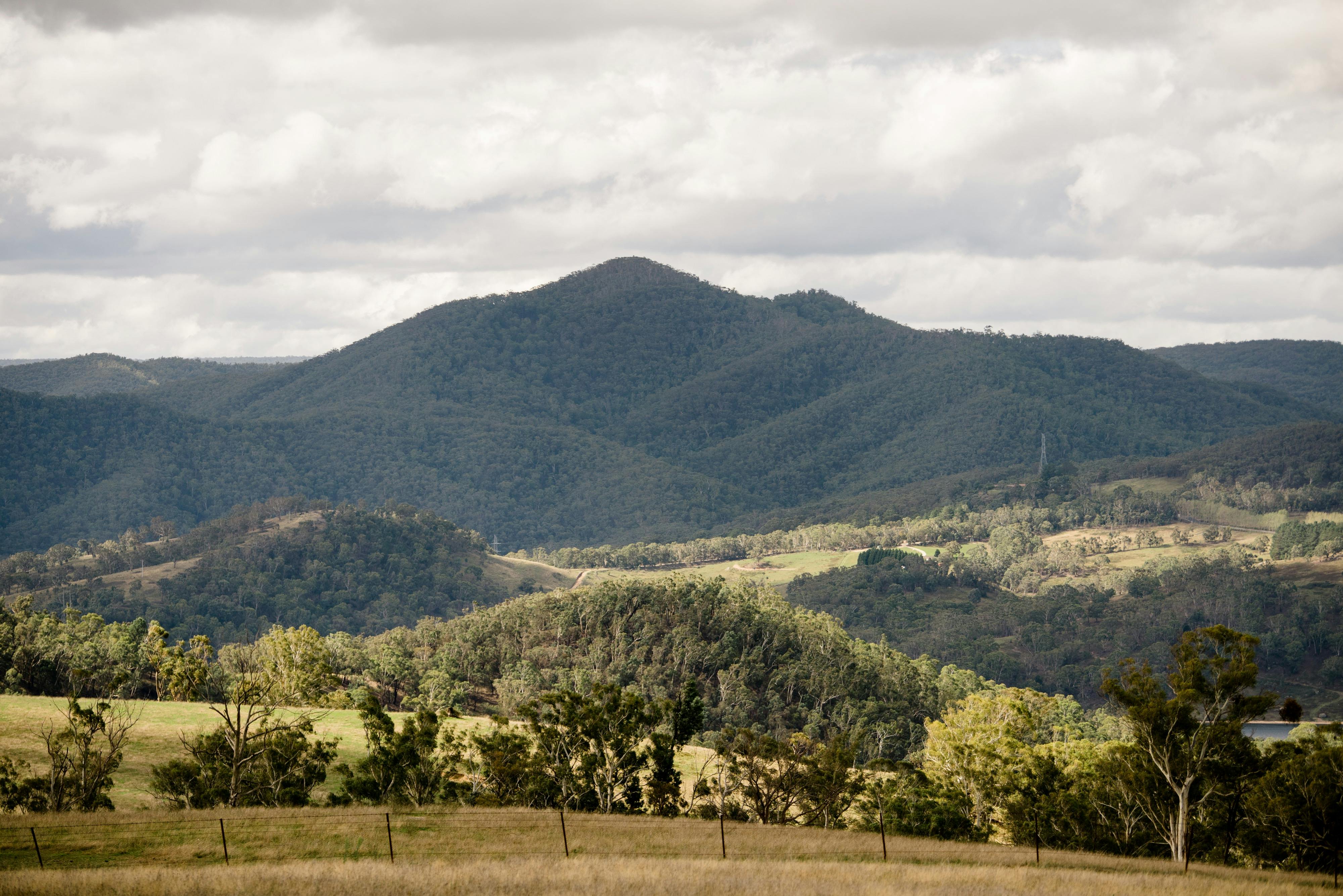 Seclusions Blue Mountains