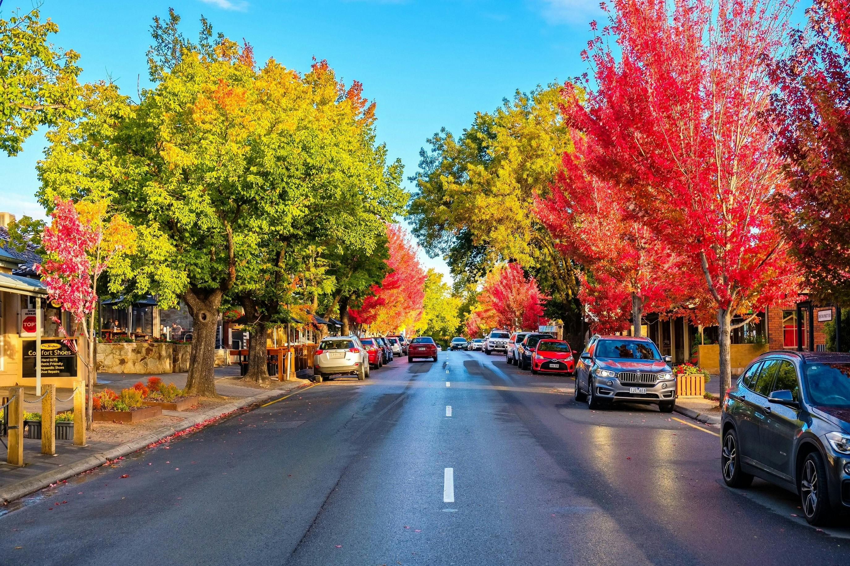 Adelaide Hills E-bike Tour