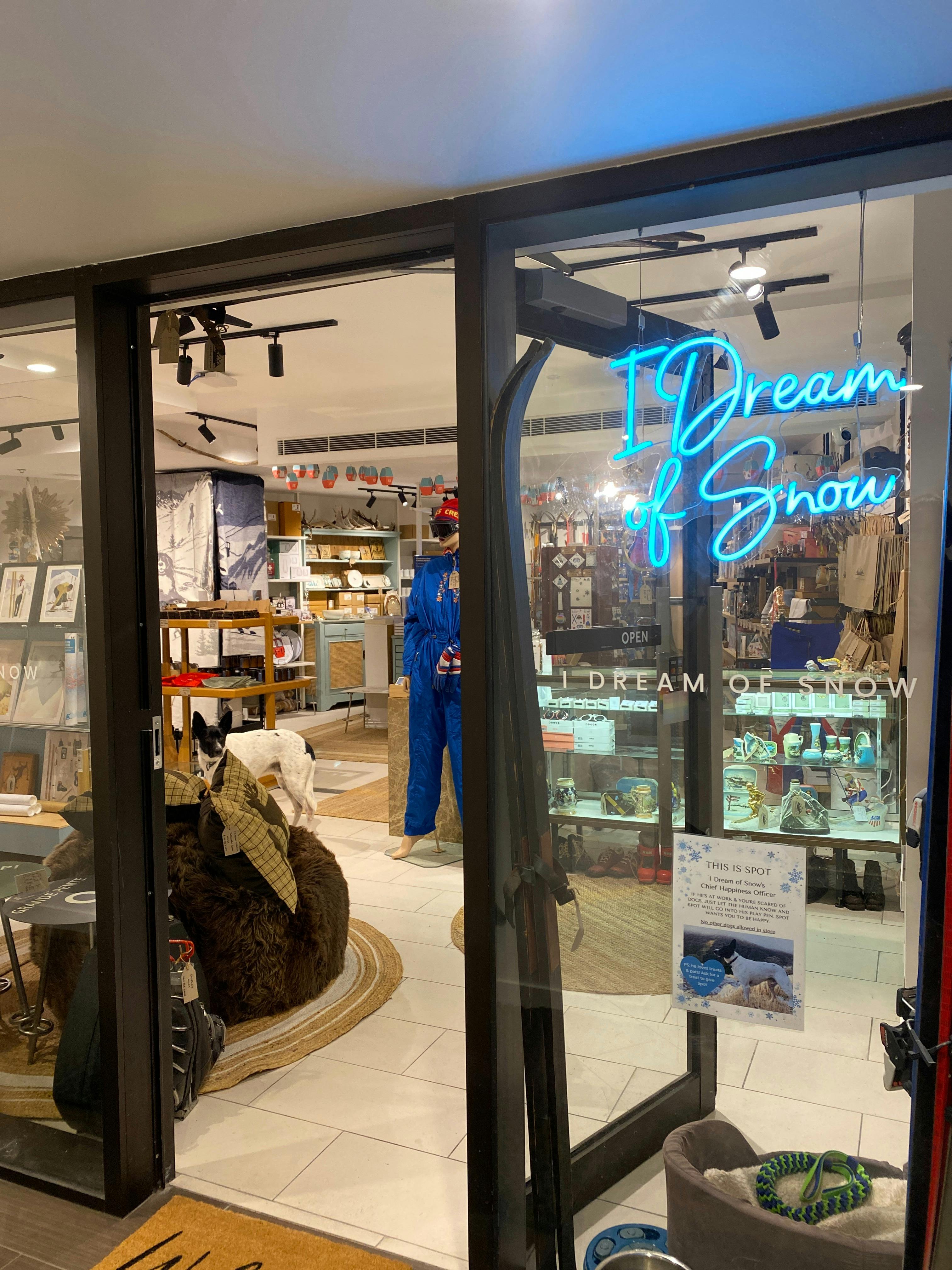 I Dream Of Snow from the outside looking in