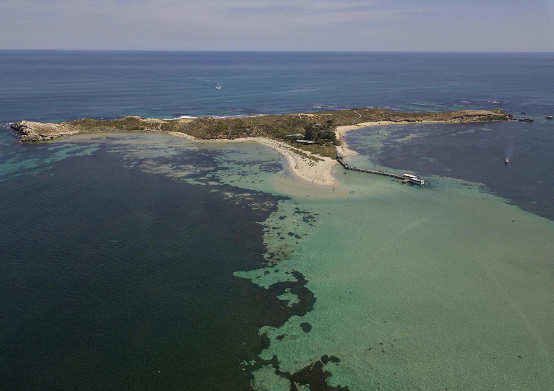 Penguin Island