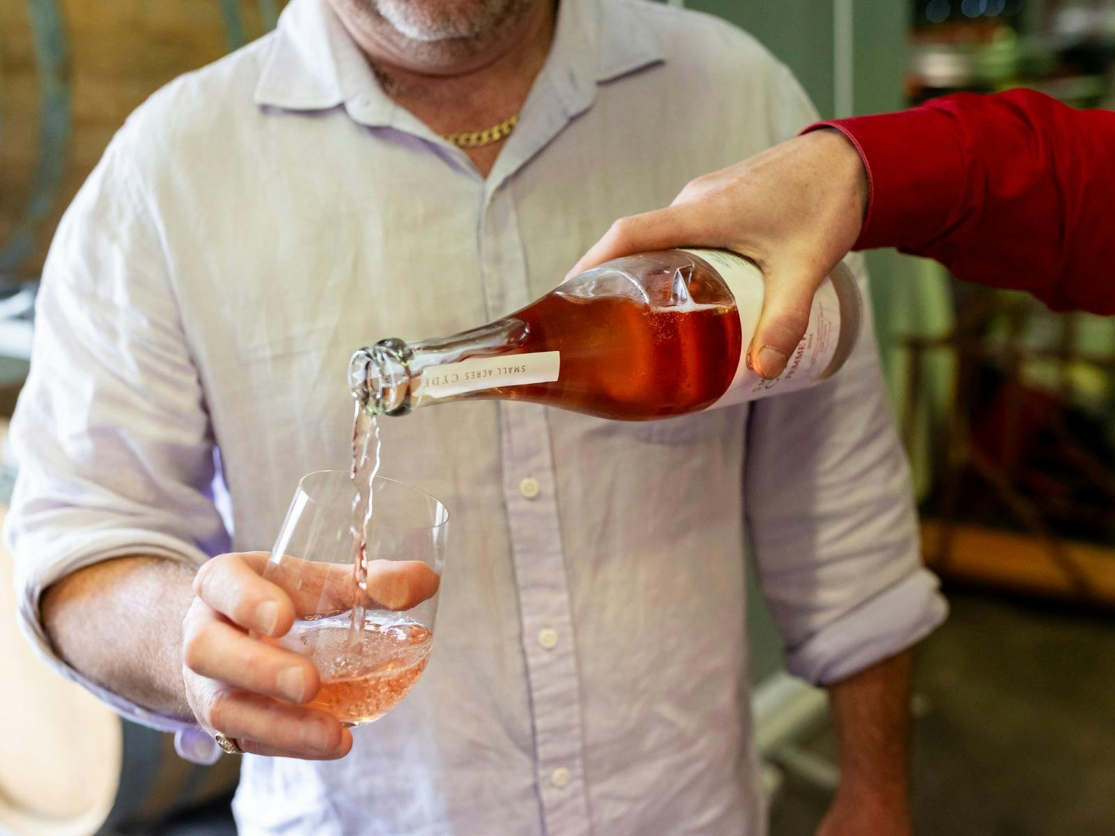 Hands-On Cider Making Workshop