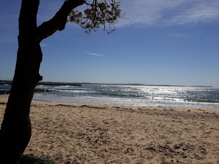 Shelly Beach - 5 minutes from Lazy Days