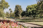 View of the botanic gardens full of lush trees and a footpaths